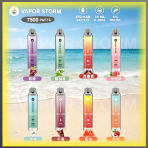 VAPOR STORM風暴辣妹7500口一次性可充電電子煙 多種水果冰感風味