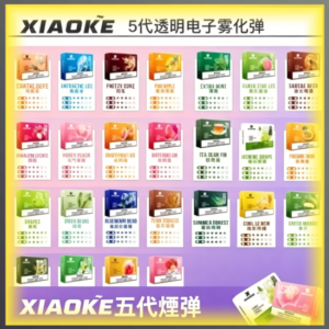 XIAOKE五代電子煙煙彈，台灣熱賣款